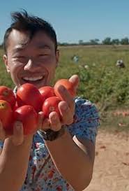 The Fruit Nerd: Field to Feast" Roma Tomatoes (TV Episode 2024)