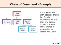 Short Chain Of Command Essay Sample