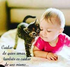 pin on frases motivadoras