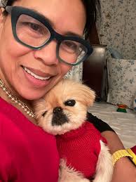 Senior dog is a fighter