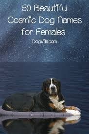 If You Re Looking For The Best Cosmic Dog Names For Your Out Of This World Pooch You Ll Love Our List Check Out The T Dog Names Female Dog Names Female Akita