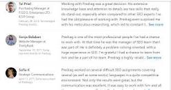 Image result for SEO Consultant Predrag