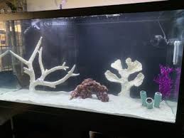 Fake coral reef decorations prop stream competition. Fake Coral Reef2reef Saltwater And Reef Aquarium Forum