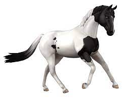 1 timeline 2 description 3 color changing 4 the reining spin 5 the reining slide stop 6 the reining backing up 7 colors, pricing, and location 8 trivia all hallows' eve. Kostenlose Fangrafiken Herunterladen Star Stable