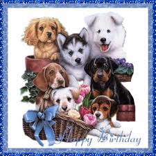 Happy birthday gif for friends. Top 30 Happy Birthday Dogs Gifs Find The Best Gif On Gfycat
