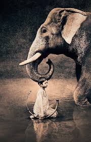 Gregory Colbert Gregory Colbert 090 Alafoto Gallery Gregory Colbert Elephant Animals