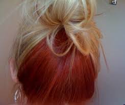… hair color dark blonde ideas splendid brown underneath. Flip It With This Red On Top And The Dark Brown Black On Bottom Hair Color Underneath Hair Dyed Underneath Dyed Hair
