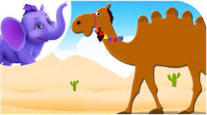 How many humps does alice the camel have? Alice The Camel Nursery Rhyme With Karaoke Youtube