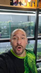 THE SCAPING LAB by AquaCR, El nuevo espacio para el aquascaping ya es una  realidad 🌿, 🌿 SpiderWood a solo ₡1.500 la pieza, 🪨 Más de 10 tipos de  piedras a ₡2.000 el kilo, 👉 20% de descuento, 🐟 Peces ...