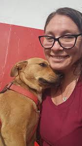 Is this lost female dog near R-8?