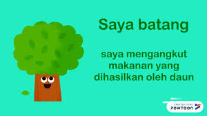 Akar tumbuhan tumbuh ke dalam tanah untuk menyerap air. Sains Tahun 1 Pentingnya Bahagian Tumbuhan Youtube