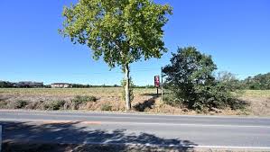 refus d'obtempérer