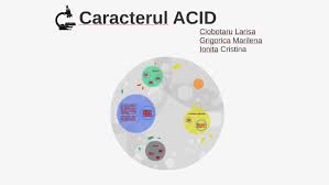 În timpul vinificării sau care sunt dificil de falsificat. Caracterul Acid By Marilena Grigorica On Prezi Next
