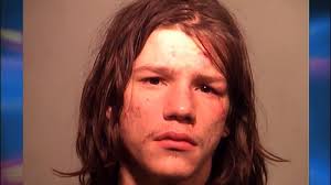 UPDATE: Man who entered Negaunee home Saturday and knocked himself  unconscious has been arraigned