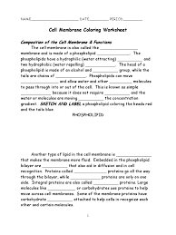 After coloring the images, students find information in the text to answer a set of questions about cell transport. Cell Membrane Coloring Worksheet Phospholipid Cell Membrane