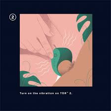 Solo or Shared Pleasure: How to Use the LELO TOR 2 Cock Ring