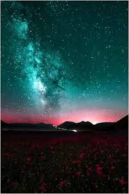 Look At The Birds Of The Air And The Flowers Of The Field Typostrate Weekend Inspiration 25 Typostrate Beautiful Sky Beautiful Nature Night Skies