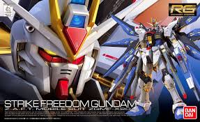 Gunplanerd: Kit Insight: RG 1144 ZGMF-X20A Strike Freedom Gundam (Straight  Build)