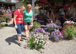 Brighten up any dim corner of your garden with these beautiful plants. Vale S Greenhouse Black Diamond Alberta Your Southern Alberta And Calgary Area Gardening Specialists Featuring Hardy Southern Alberta Perennials And Shrubs For The Chinook Zone
