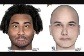 Lake County Sheriff's Office Hunts for Persons of Interest in