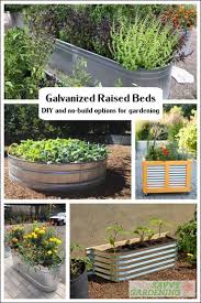 These sturdy galvanized raised beds are extremely effective. Galvanized Raised Beds Big And Small Options For Food To Flowers