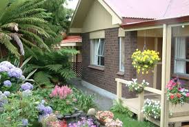 12 tanaman indoor mini dalam ruangan dekorasi rumah. Jenis Tanaman Hias Outdoor