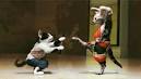 Cmo aprender kung fu: pasos (con fotos) - How