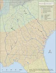 Image result for Gilgiochloa