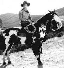 Created by show horse tv 5 years ago. Horses That Old Western Stars Of B Films And Their Sidekicks Rode Reelrundown