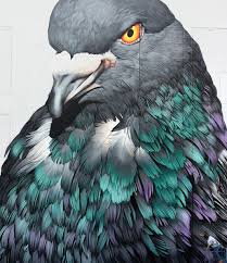 Massive Paintings Of Pigeons Reveal The Street Birds Unexpected Beauty Pigeon Pictures Pigeon Bird Art