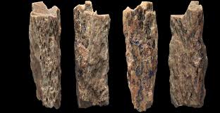 Ancient child from Siberia was Neanderthal and Denisovan hybrid | Natural  History Museum