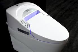 Looking for the best of the best toilet seats? Ove Decor 1 Piece White Smart Toilet At Menards