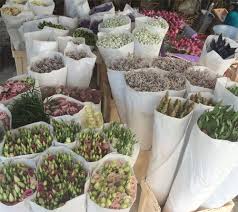 Maybe you would like to learn more about one of these? Beautiful Bouquets Of Fresh Dutch Flowers At Affordable Prices From Miss Daisy