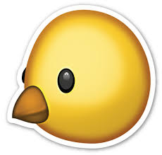 Pin Di Crazy