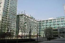 网站开发公司简介金山网站建设关键词排名-深圳留学之家教育科技 ...