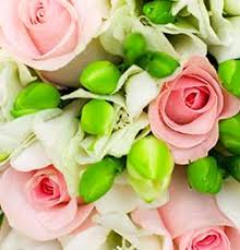 Brought to you by complete weddings + events fort myers, florida. Send Flowers In Cape Coral North Ft Myers Fl Bloomers Flowers We Deliver Smiles With Style Each And Everyday