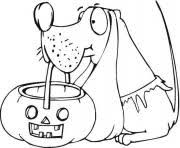 Click on any halloween picture above to start coloring. Coloring Adult Difficult Dogs Elegants Coloring Pages Printable
