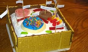 Building a 3d model of a plant cell is an informative and creative project. Edible Model Of A Plant Cell Biological Science Picture Directory Pulpbits Net