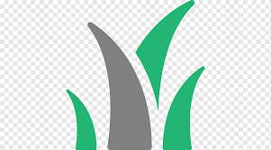 With a spike aerator, you simply after aerating, it's important to continue basic lawn care practices such as proper fertilizing. Blooming Seasons Lawn Care Landscape Services Lawn Mowers Lawn Aerator String Trimmer Grass Leaf Leaf Text Service Png Pngwing