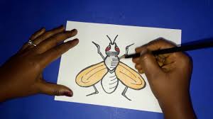 House fly coloring pages tinytot insect coloring pages coloring. How To Draw Housefly Step By Step Drawing For Kids Learn Easy And Simple Drawings Youtube