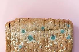 How Bad Is Eating Moldy Bread Here S What Happens Well Good