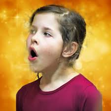 Fundsachen im Internet