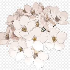 Aesthetic Drawings Flowers Wallpapers Wallpaper Cave Arabella flower drawing tumblr flower drawings tumblr flower. aesthetic drawings flowers wallpapers