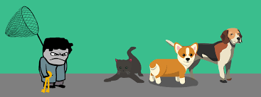 Check spelling or type a new query. Landlords Guide On Tenants Pets