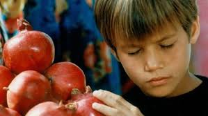 Lektionen in Finsternis