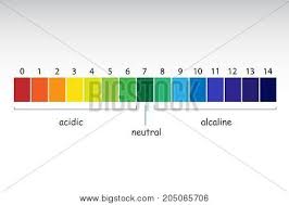 Ph Scale Value Chart Vector Photo Free Trial Bigstock