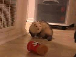 As an amazon affiliate, and affiliate with other businesses, i earn from qualifying purchases. Happy National Peanut Butter Day The Bump
