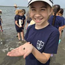 Hello Ocean Fun Days Friends and Exhibitors! The NJ Sea Grant Consortium  (NJSGC), a non-profit marine research, education, and outreach organization 