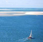 Le Banc D Arguin Arcachon Dune Du Pyla Arcachon Bassin D Arcachon Arcachon France