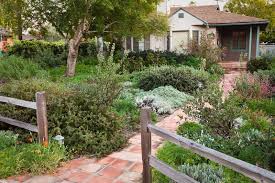 Native Plants Terra Ferma Landscapes